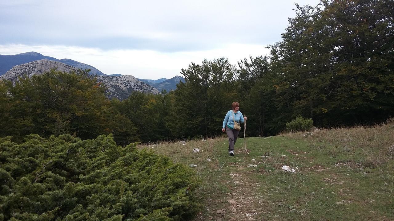 Montagne Rocciose Bed & Breakfast Frascineto Exterior photo
